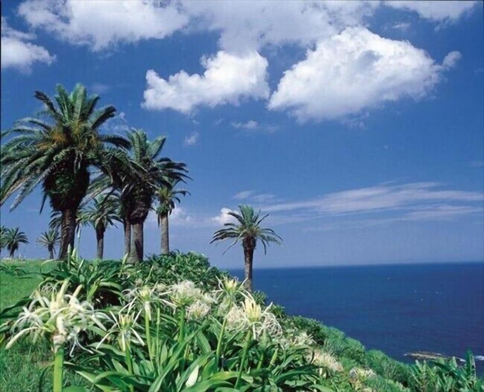 Miyazaki Kanko Hotel Dış mekan fotoğraf